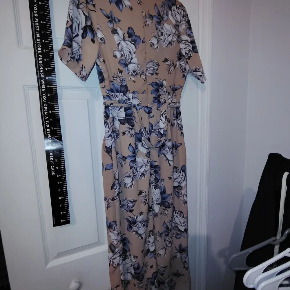 Sienna Sky Tan and Blue Floral Dress S New Nwot